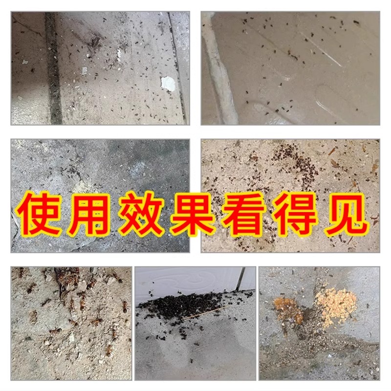 杀蚂蚁特效药家用无毒一锅端红蚂白蚁蟑螂室内户外灭蚁的药一喷净-图2