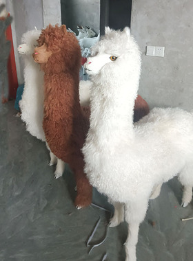 一比一仿真羊驼模型展厅摆件