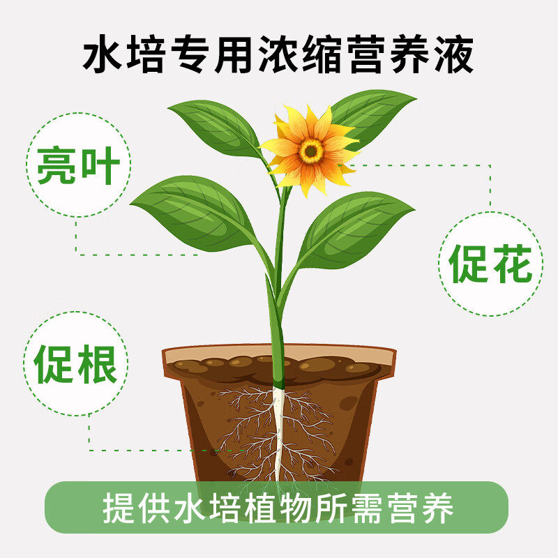 水培植物营养液肥料专用肥家用盆栽水养富贵竹碗莲种球通用水溶肥,淘宝优惠券,粉丝福利购,淘宝优惠卷