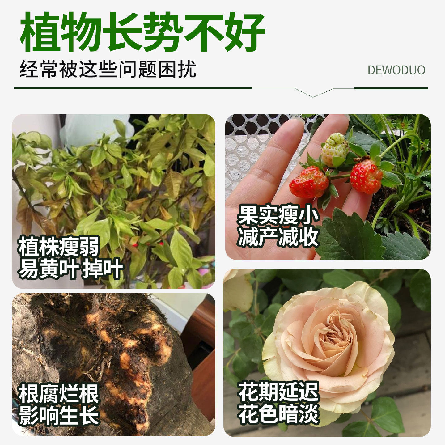 缓释肥花肥料家用盆栽植物通用复合肥氮磷钾肥颗粒养花卉绿植多肉,淘宝优惠券,粉丝福利购,淘宝优惠卷