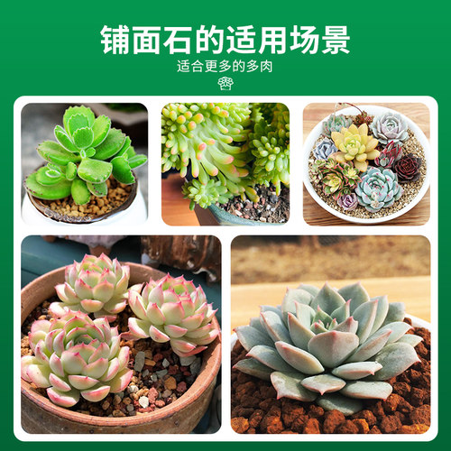 铺面石多肉专用颗粒土植物营养土花盆栽透气麦饭石陶粒火山石蛭石 - 图3