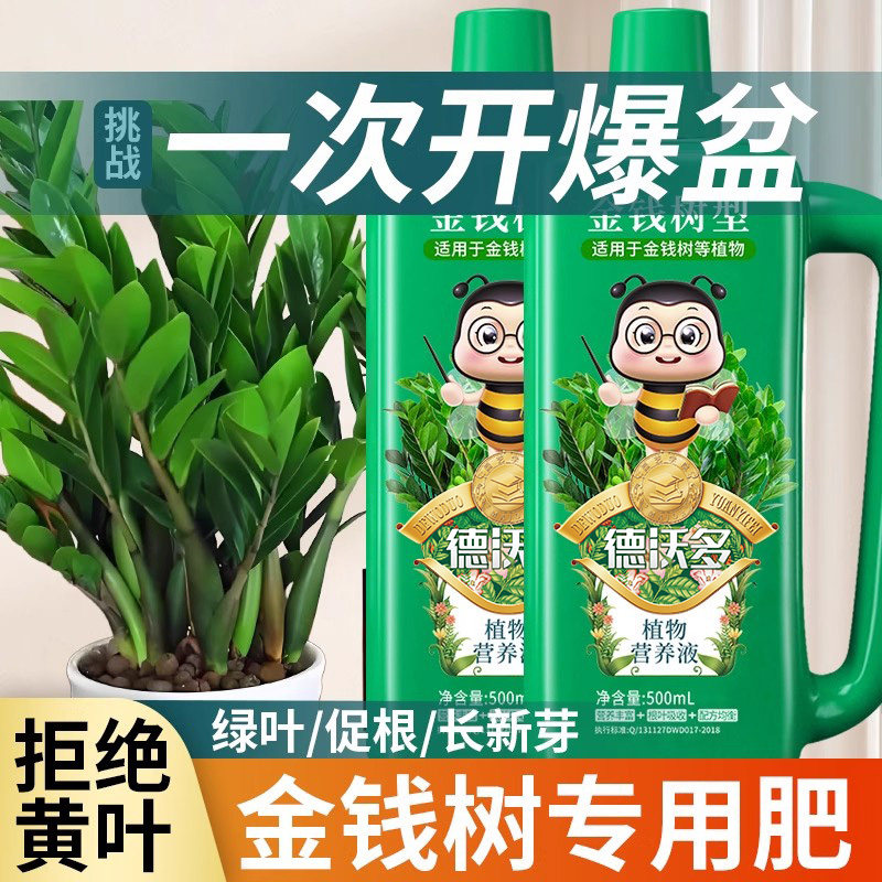 金钱树营养液肥料专用肥黄叶烂根室内盆栽植物通用发财树叶面花肥,淘宝优惠券,粉丝福利购,淘宝优惠卷