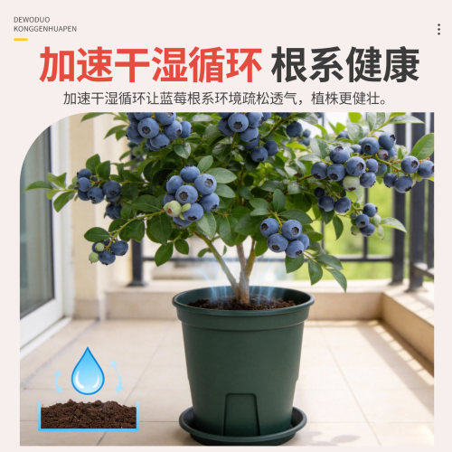 蓝莓专用盆青山盆控根盆加仑盆家用阳台盆栽植物花盆通用透水透气 - 图2