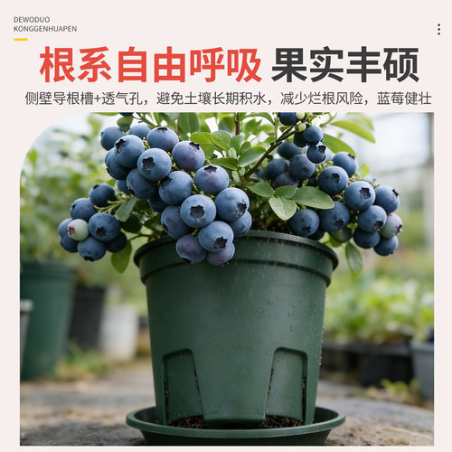蓝莓专用盆青山盆控根盆加仑盆家用阳台盆栽植物花盆通用透水透气 - 图0