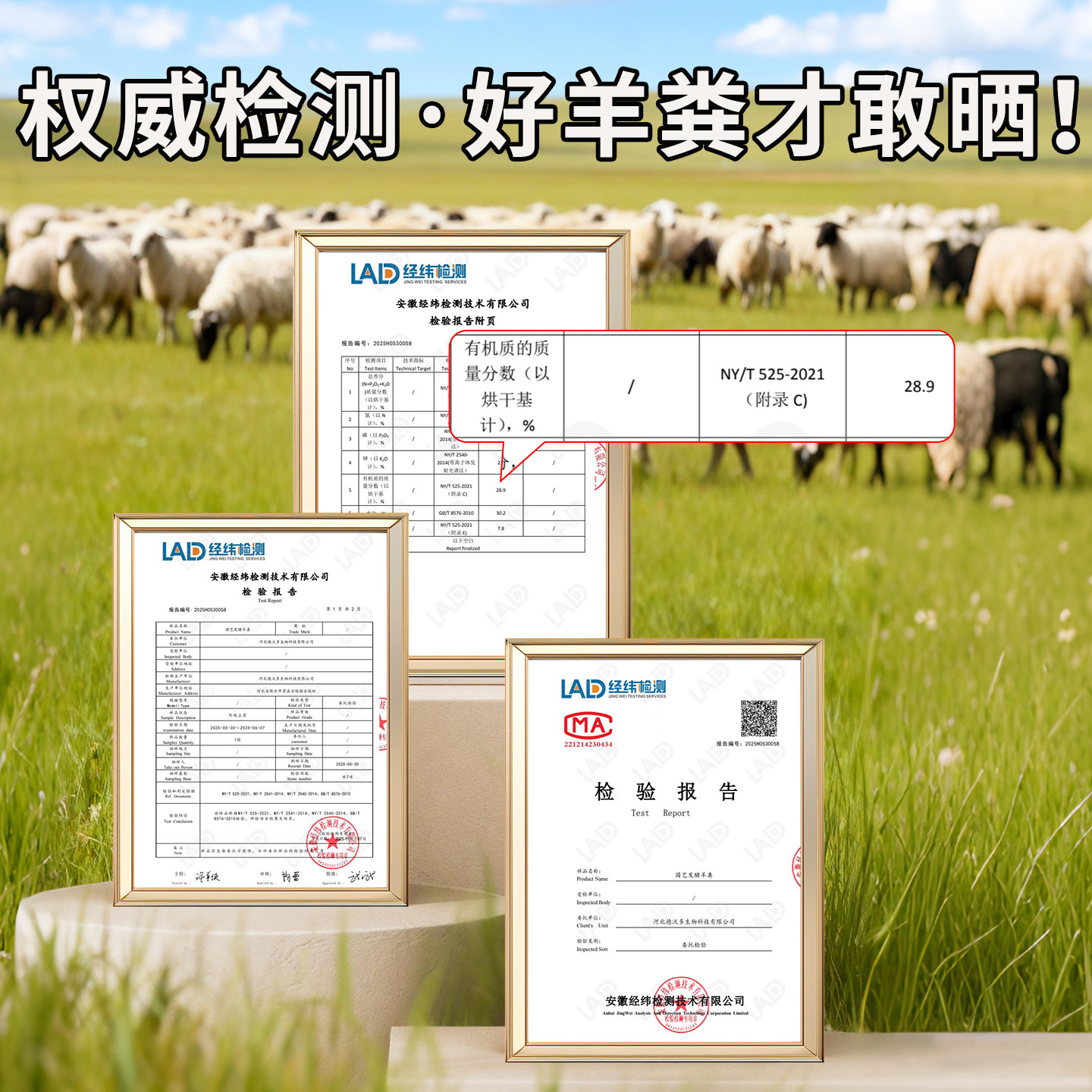 纯羊粪发酵生物有机肥无虫卵蔬菜专用农家肥养花卉植物种菜羊粪蛋,淘宝优惠券,粉丝福利购,淘宝优惠卷