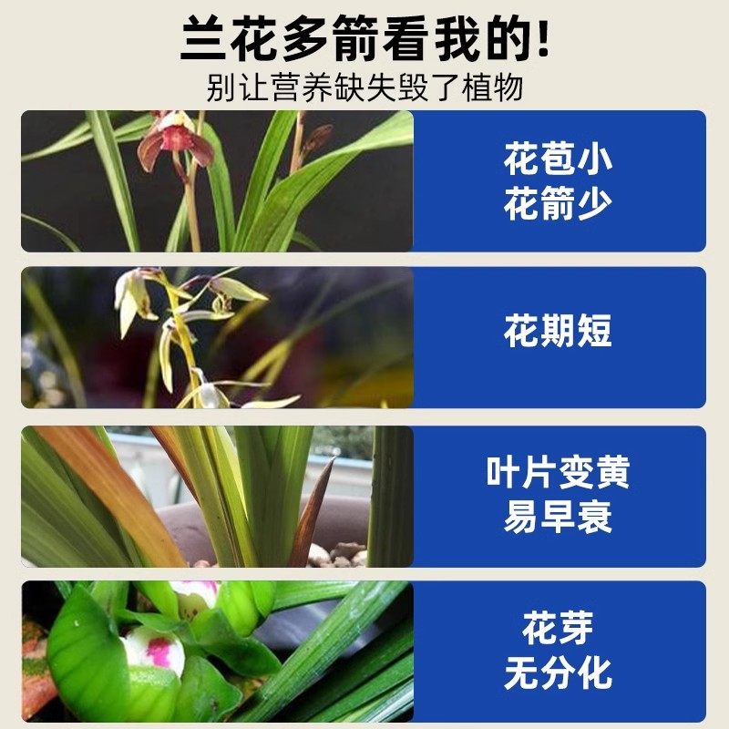 兰花多箭素爆芽素兰科植物通用营养液兰灵王蝴蝶兰多剑促花箭花肥,淘宝优惠券,粉丝福利购,淘宝优惠卷
