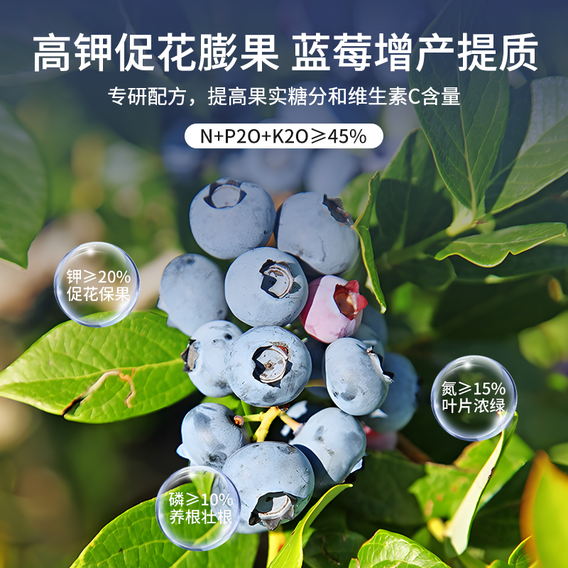 蓝莓专用肥缓释肥蓝莓树果苗盆栽专用土颗粒肥料酸性硫酸钾复合肥 - 图1