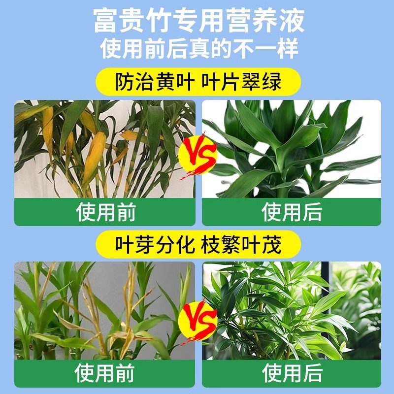 富贵竹专用营养液治黄叶观音竹转运竹文昌竹家用水培植物通用肥料,淘宝优惠券,粉丝福利购,淘宝优惠卷