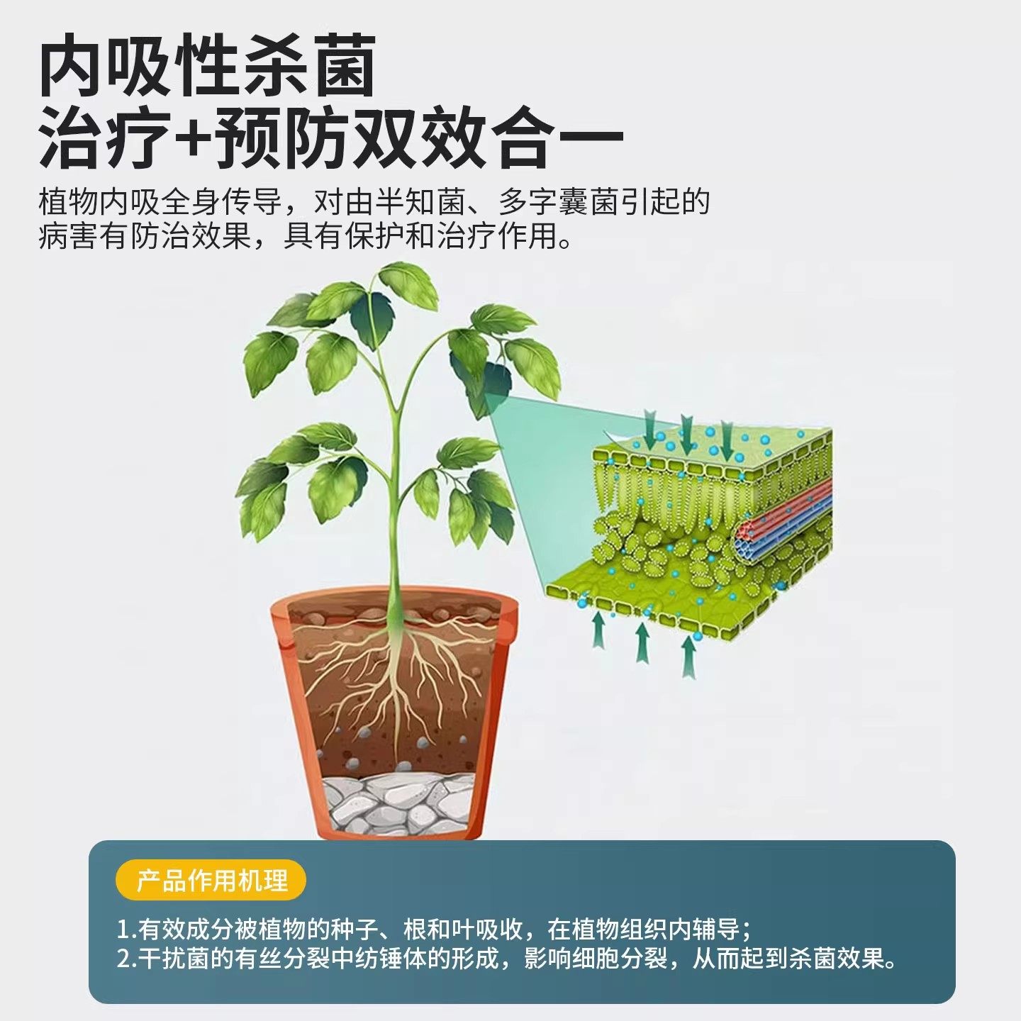 多菌灵杀菌剂生根粉正品官方花卉植物通用多灵月季花黄叶蔬菜专用,淘宝优惠券,粉丝福利购,淘宝优惠卷
