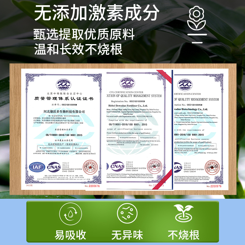 富贵竹营养液肥料专用肥观音竹家用竹子转运竹水培植物通用有机肥 - 图3