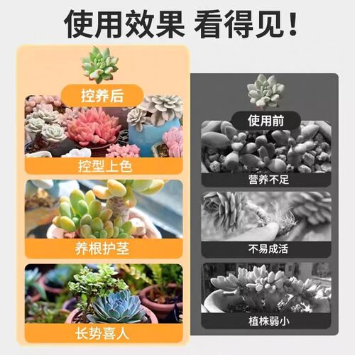 多肉专用颗粒土营养土植物盆栽泥炭土壤种植养花玉露仙人球铺面石 - 图2