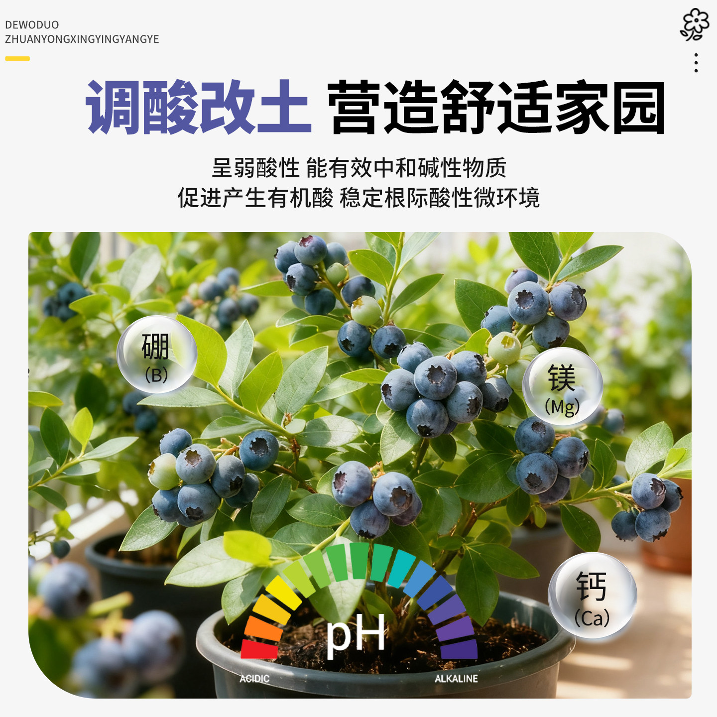 蓝莓专用鱼蛋白水溶肥膨果增甜氨基酸有机肥叶面肥料瓜果蔬营养液,淘宝优惠券,粉丝福利购,淘宝优惠卷