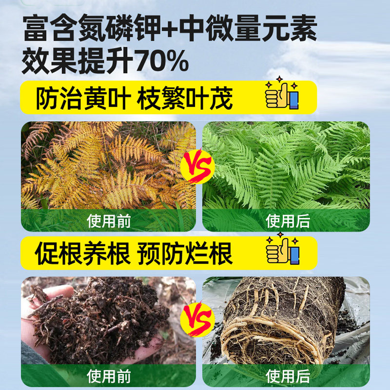 蕨类植物肥料专用肥营养液铁线蕨霸王蕨鹿角蕨狼尾蕨水培防枯黄叶,淘宝优惠券,粉丝福利购,淘宝优惠卷