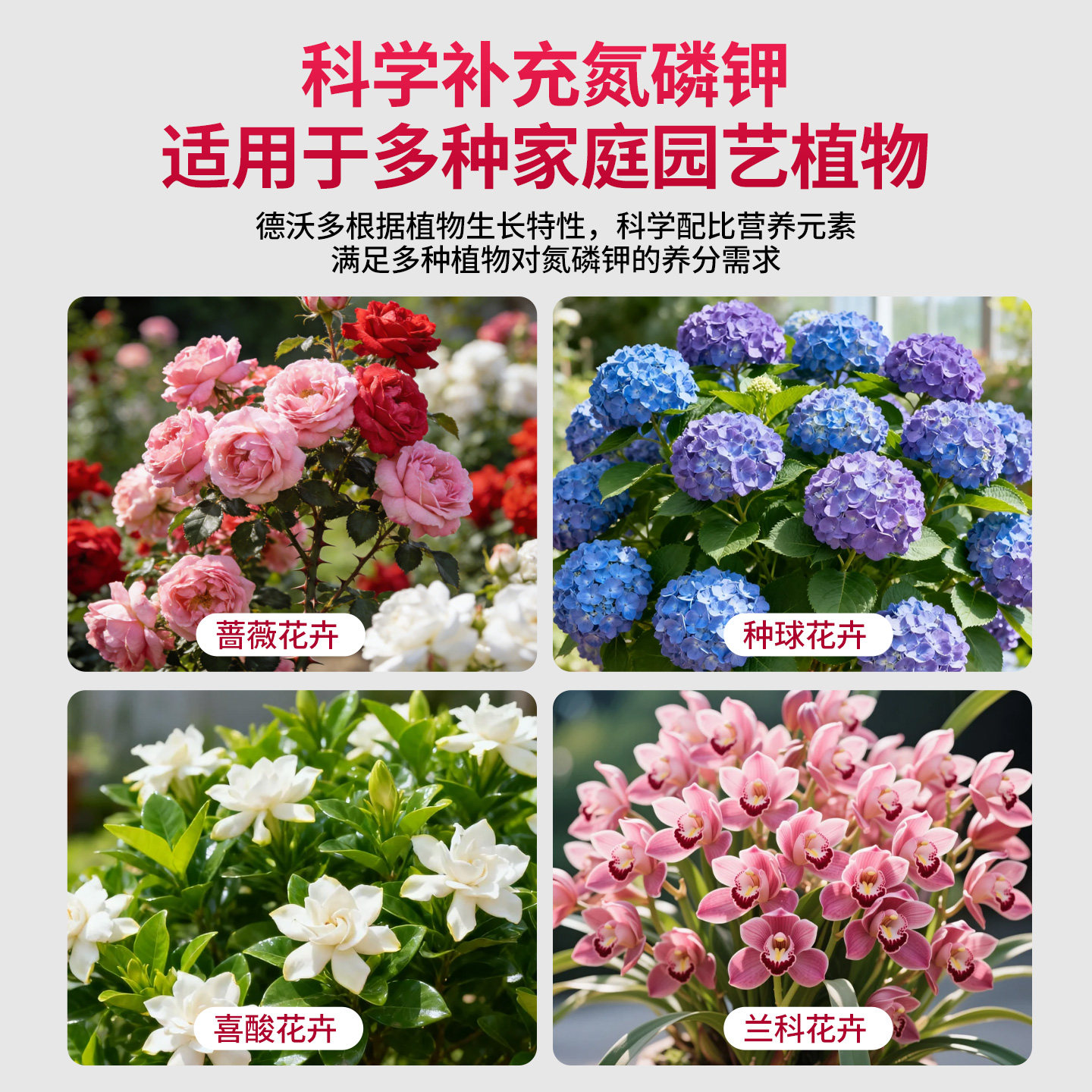 适合各种花的营养液盆栽花卉植物营养液室内通用花肥水溶性复合肥,淘宝优惠券,粉丝福利购,淘宝优惠卷