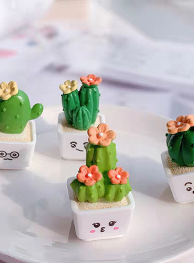 迷你仙人掌多肉植物造型树脂摆件 可爱表情桌面车饰摆设