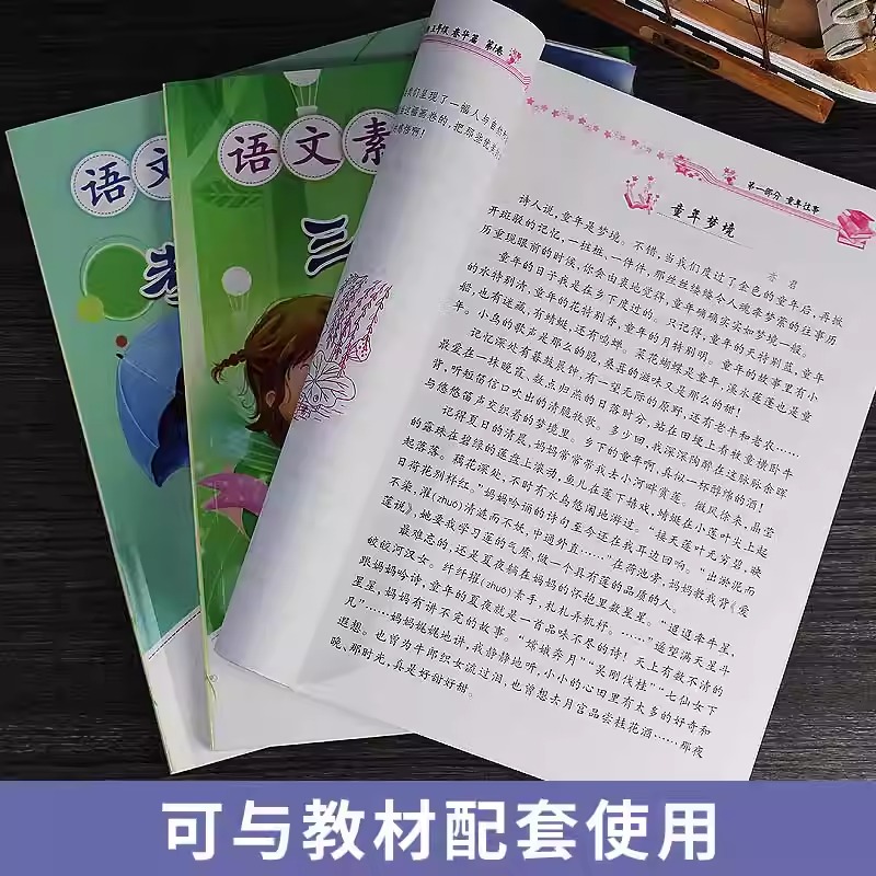 语文素养提升五年级春华篇马蒂的圣诞礼物三朵玫瑰考卷的秘密提高孩子语文素养 提升阅读理解能力培养写作技巧小学生课外推荐阅读 - 图1