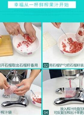 伟丰铝合金压汁浙江榨汁机12哥特