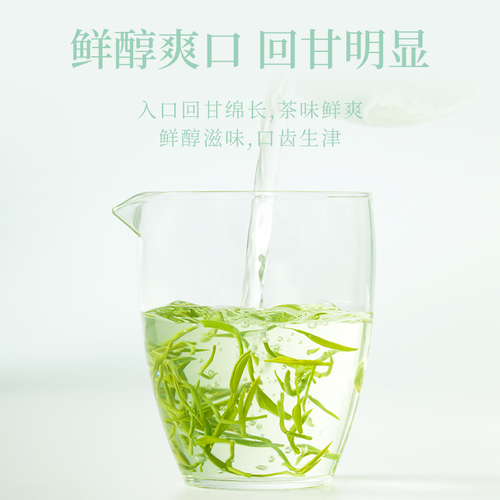 毛尖2024年新茶浓香型茶叶自己喝特级春茶明前嫩芽绿茶官方正品茶