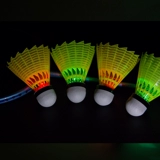 Boka 4 установлен с флуоресцентным пластиковым нейлоновым светодиодным светодиодным светом сияние
