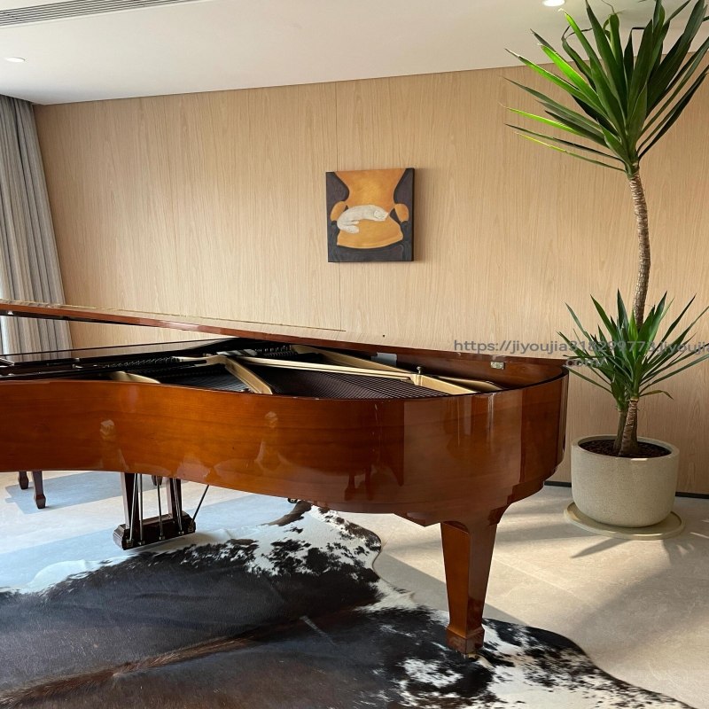 大型盆栽荷兰铁老桩造型巨丝兰室内客厅绿植办公室好养植物龙血树,淘宝优惠券,粉丝福利购,淘宝优惠卷