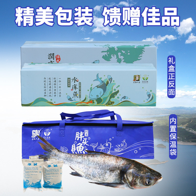 密农人家2025密云开河鱼正宗假一赔十胖头鱼 礼盒 新鲜花鲢胖头鱼,淘宝优惠券,粉丝福利购,淘宝优惠卷