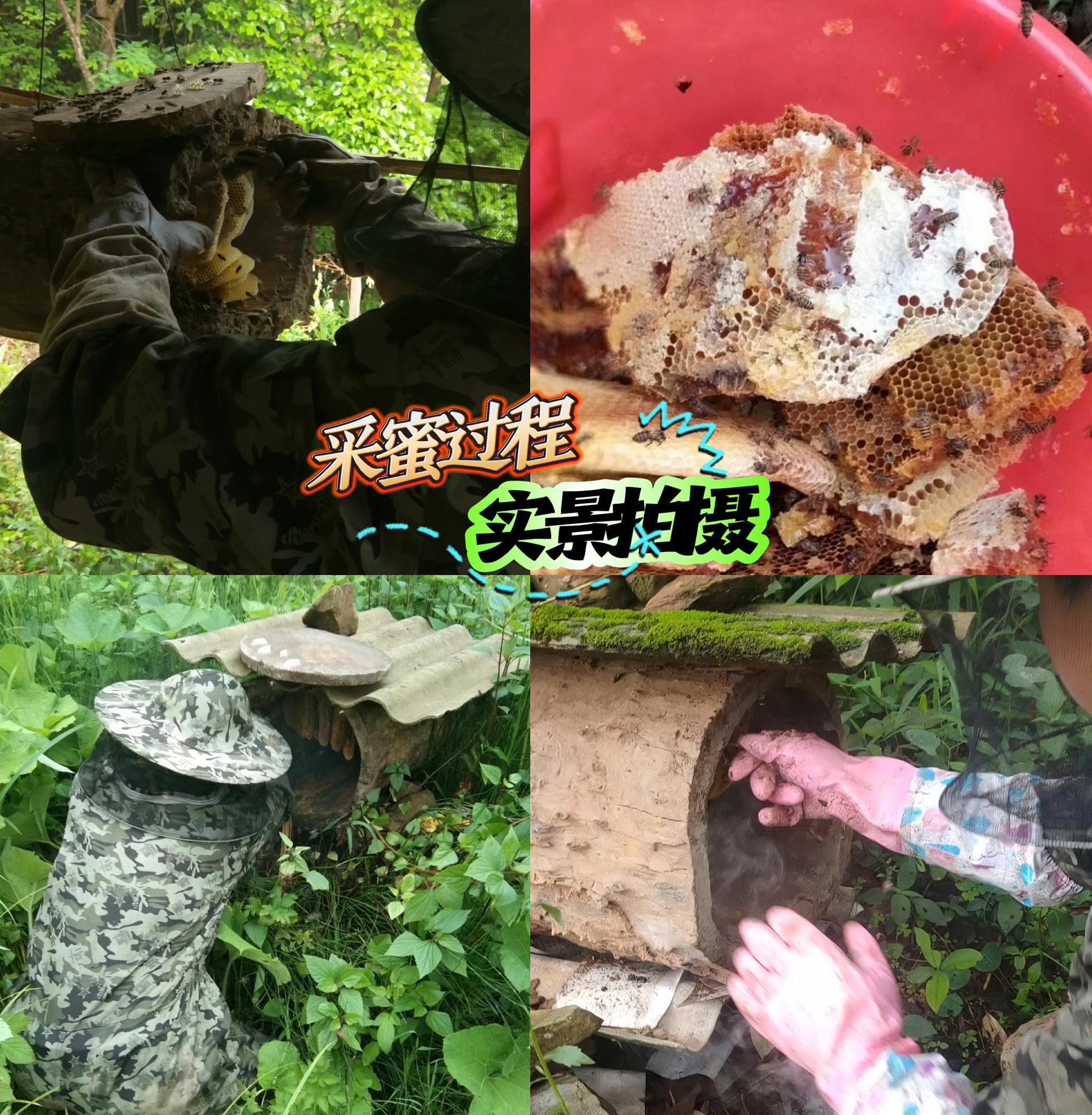 云南深山低海拔原始森林土蜂蜜纯天然野蜂蜜百花蜜蜂蜜纯正木桶蜜