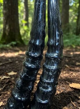 纯天然西藏羊角摆件实心原角开业送礼整根家居收藏装饰礼物工艺品
