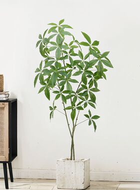 假树发财树绿植盆景人造植物厂家直供仿真树创意家居摆件仿真盆栽