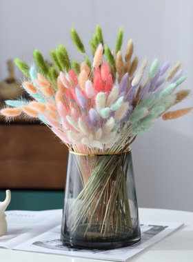 ins网红小花束家居客厅北欧装饰摆件干枝插花兔尾草狗尾巴草干花