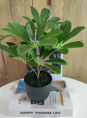 仿真鸭掌木绿植家用室内客厅酒店摆件盆景植真鸭脚木家居装扮
