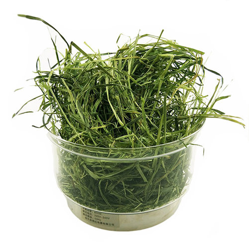 静静25年提摩西草纯草宠物兔粮荷兰猪龙猫粮 - 图3