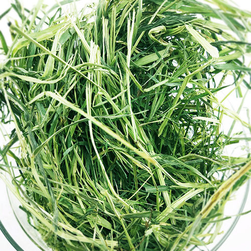 静静25年提摩西草纯草宠物兔粮荷兰猪龙猫粮 - 图0