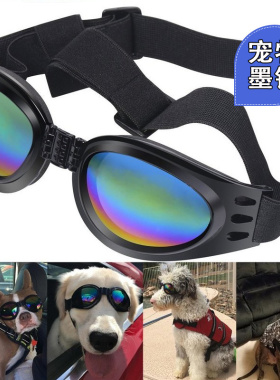 宠物眼镜可折叠创意配饰太阳镜