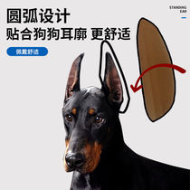 Dog Stands Ear Deities Dubines Dog Ears Assistive Theologe Wolverine Kirkima Dog Correction Sticker Canton Red Herd Dog