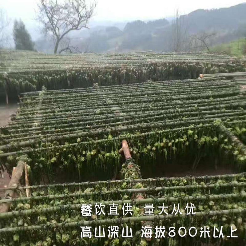 大头菜咸菜盐菜四川干老贵州烧白正宗南川农家重庆特产手工腌扑坛 - 图1