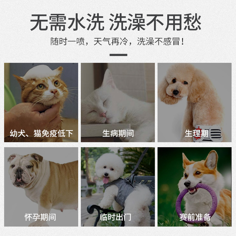 宠物干洗免洗喷雾狗狗猫咪祛味蓬松冻干喷剂杀菌