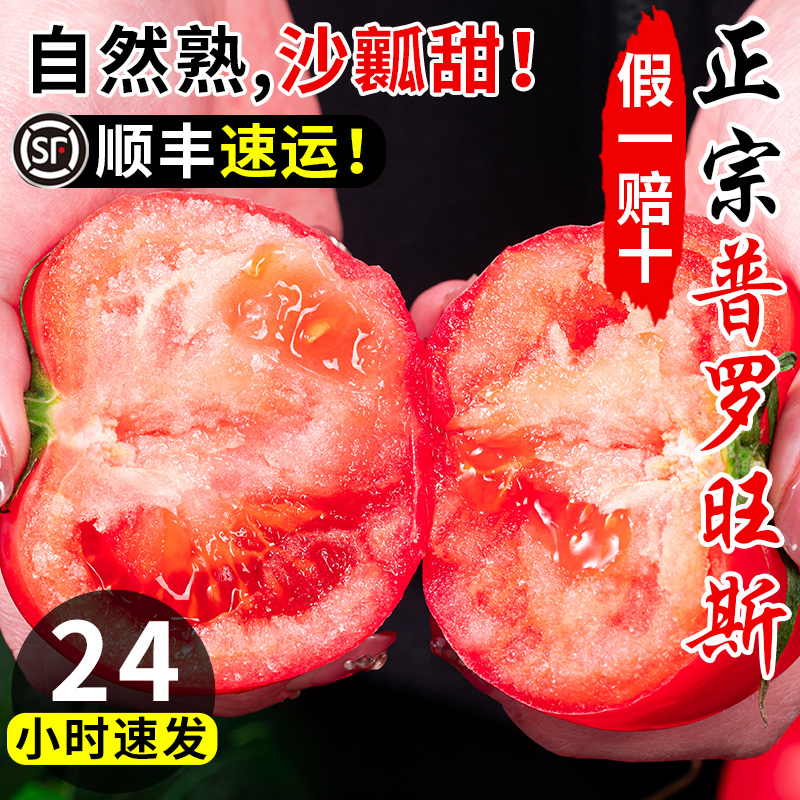 正宗泾阳普罗旺斯沙瓤西红柿当季生吃水果小番茄新鲜自然熟蔬菜大 - 图2