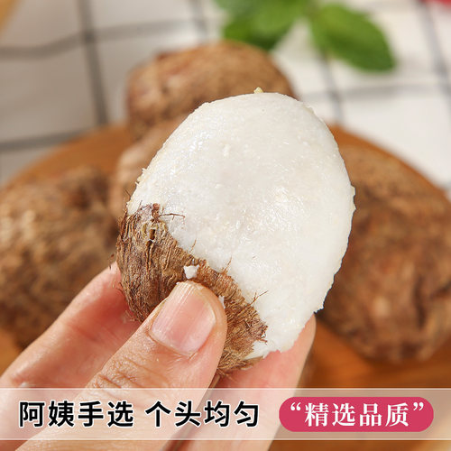 云南牛奶芋头小香芋5斤新鲜毛芋头现挖农家自种奶油芋艿软糯蔬菜 - 图1