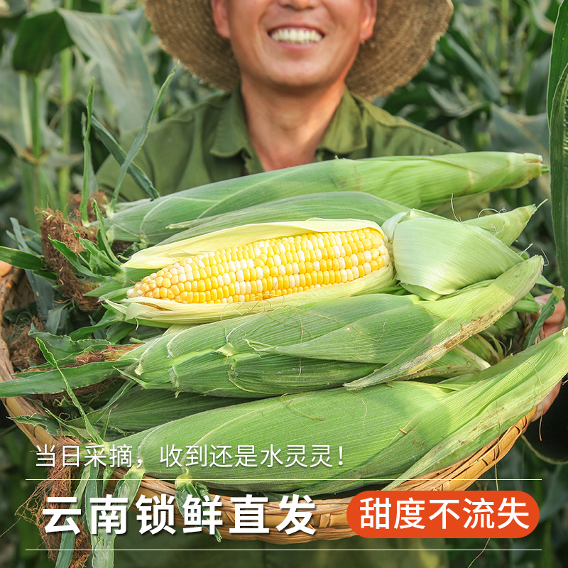 商品详情图片