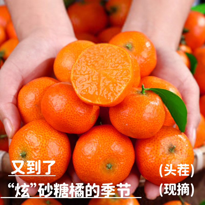 正宗广西砂糖橘10新鲜水果当季整箱斤甜橘子沙糖桔过年送礼盒年货