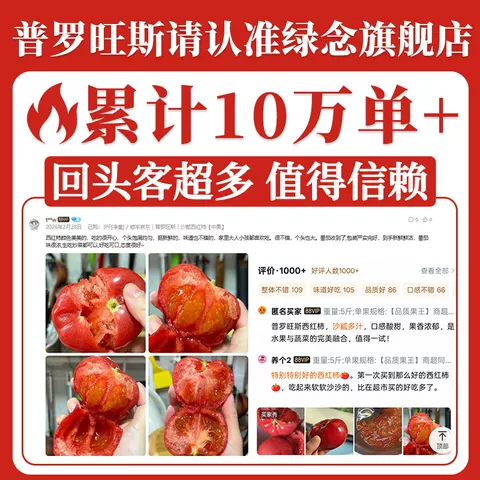 正宗陕西泾阳普罗旺斯沙瓤西红柿新鲜自然熟当季礼盒水果番茄蔬菜 图片 3