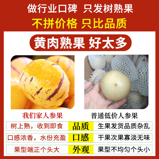 Yunnan Stone Forest Ginseng Fruit Yellow-Fleshed Round Fruit