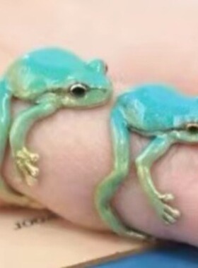 欧美风跨境新品绿色搞怪青蛙戒指小众设计个性开口可调节指环