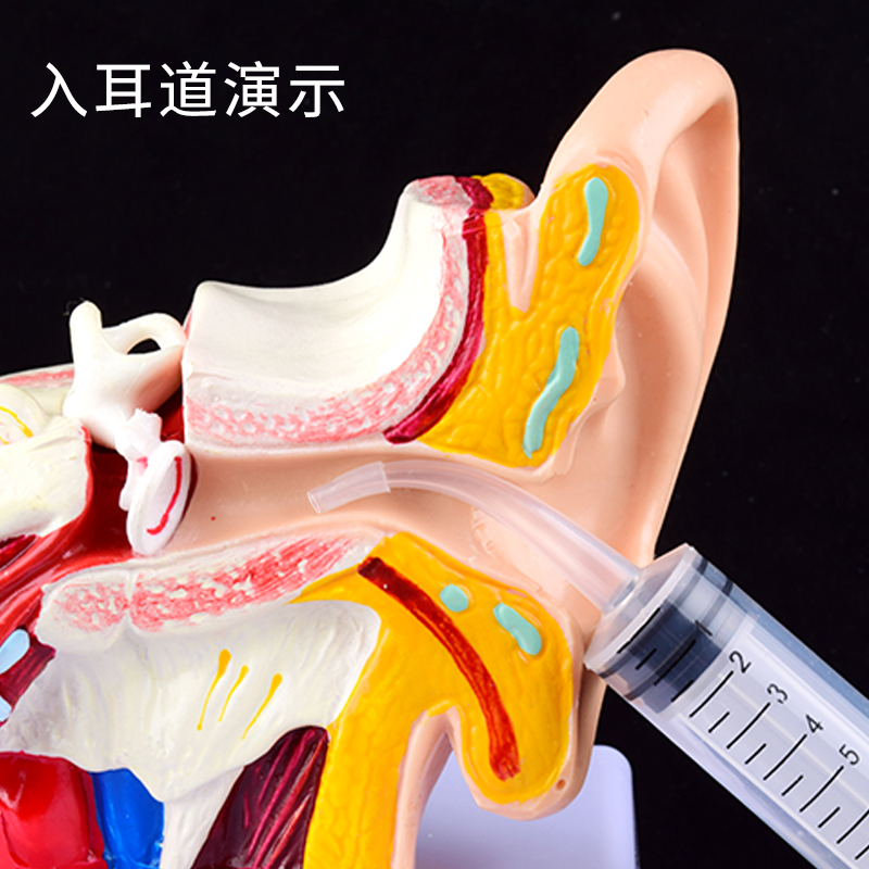 手动洗耳神器洗耳朵耳洞耳道吸水冲灌洗耳器洗耳球吸耳屎采耳工具 - 图1