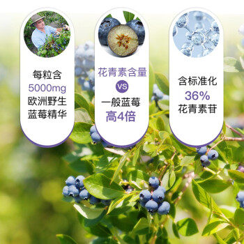 澳至尊蓝莓精华素365粒特级蓝莓护眼片花青素儿童青少年成人护眼 - 图0