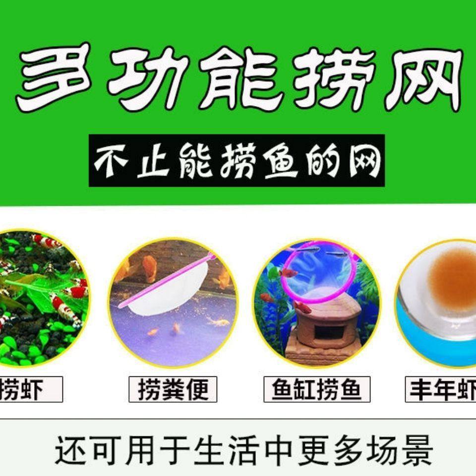迷鱼捞小鱼网鱼网捞鱼小渔网鱼捞网迷你型鱼缸网兜金鱼网捞手代发,淘宝优惠券,粉丝福利购,淘宝优惠卷