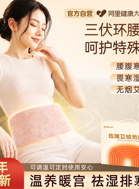 暖宫腰带电加热艾灸热敷包护腰带部大姨妈暖腹肚宫寒痛经家用女生