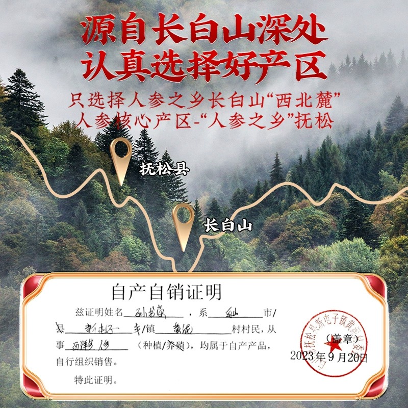 南京同仁堂西洋参礼盒人参营养补品长白山送礼父母长辈官方旗舰店
