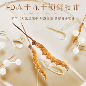 胡庆余堂冬虫夏草10克/盒西藏高海拔品质冻干锁鲜虫草礼盒装送礼