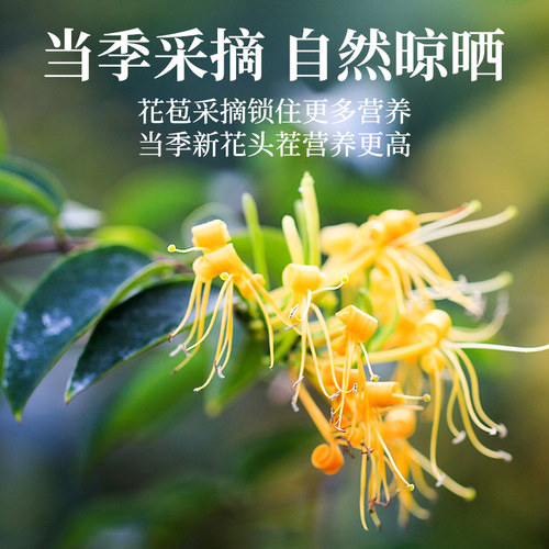 金银花茶正品官方旗舰店搭野生特級中葯材泡水婴儿凉茶中药材干货 - 图2